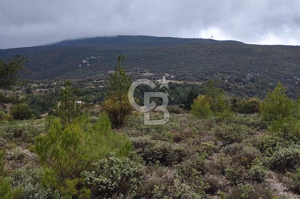 Panoramik Manzaralı | Mordoğan’da 1/1000’lik Planda Olan Tarla