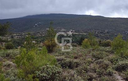 Panoramik Manzaralı | Mordoğan’da 1/1000’lik Planda Olan Tarla