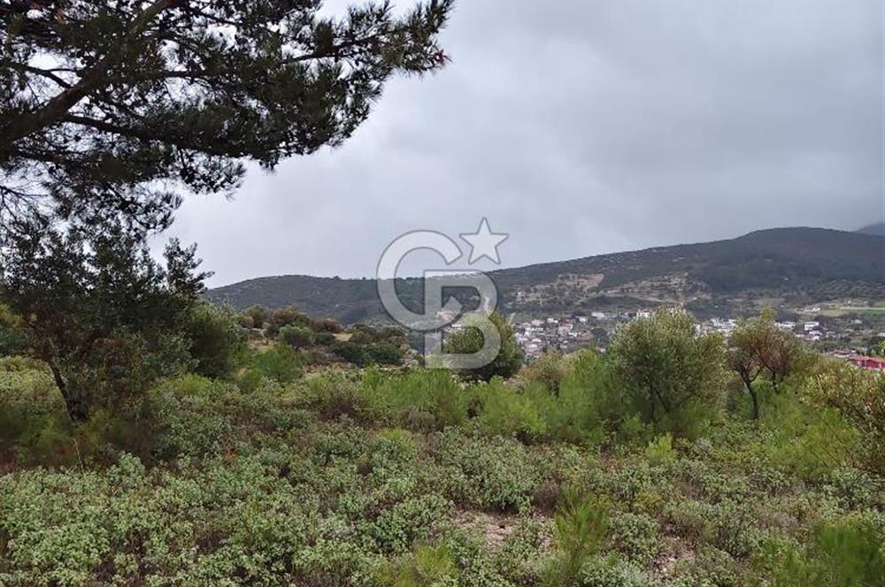 Panoramik Manzaralı | Mordoğan’da 1/1000’lik Planda Olan Tarla