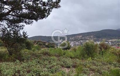 Panoramik Manzaralı | Mordoğan’da 1/1000’lik Planda Olan Tarla