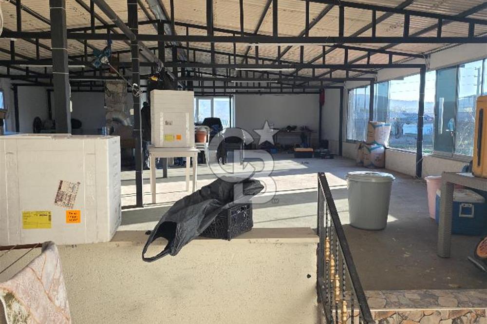 CB ENVOY'dan, Körfez Cuma Köyü'nde 2935 m2 Satılık Arsa