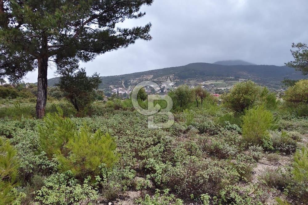 Panoramik Manzaralı | Mordoğan’da 1/1000’lik Planda Olan Tarla