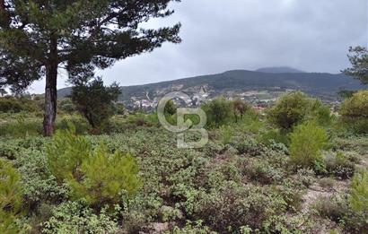 Panoramik Manzaralı | Mordoğan’da 1/1000’lik Planda Olan Tarla