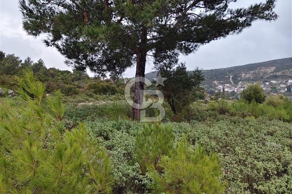 Panoramik Manzaralı | Mordoğan’da 1/1000’lik Planda Olan Tarla