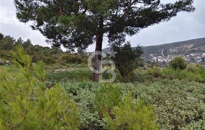 Panoramik Manzaralı | Mordoğan’da 1/1000’lik Planda Olan Tarla