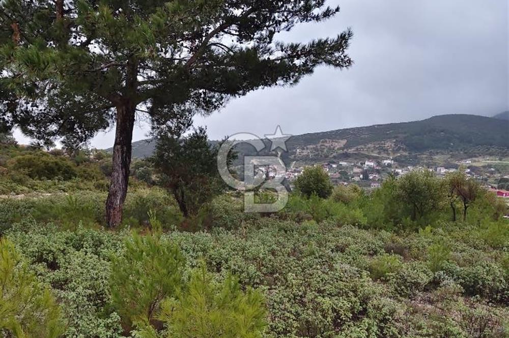 Panoramik Manzaralı | Mordoğan’da 1/1000’lik Planda Olan Tarla