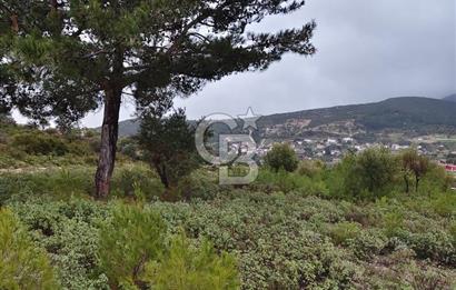 Panoramik Manzaralı | Mordoğan’da 1/1000’lik Planda Olan Tarla