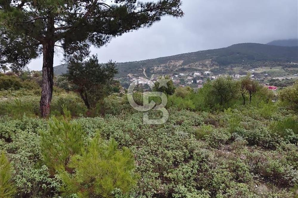 Panoramik Manzaralı | Mordoğan’da 1/1000’lik Planda Olan Tarla