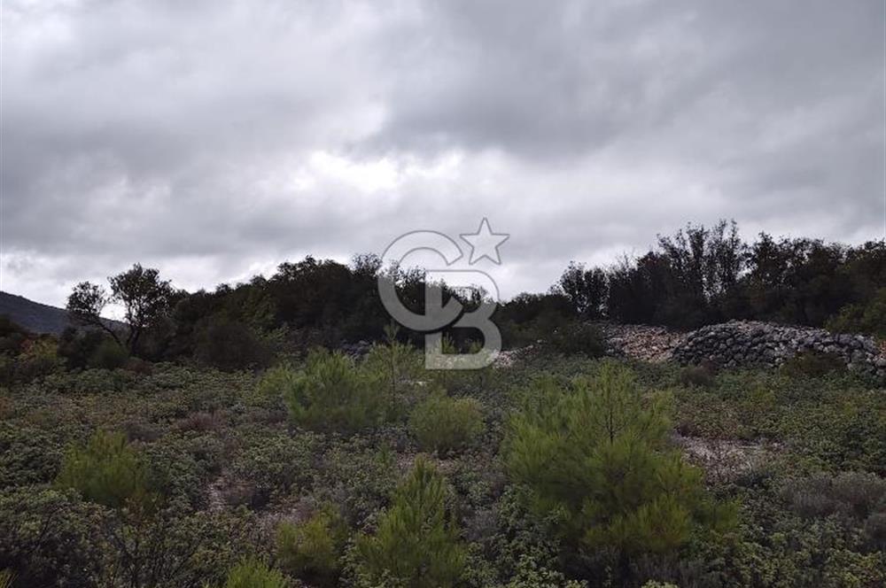 Panoramik Manzaralı | Mordoğan’da 1/1000’lik Planda Olan Tarla