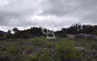 Panoramik Manzaralı | Mordoğan’da 1/1000’lik Planda Olan Tarla