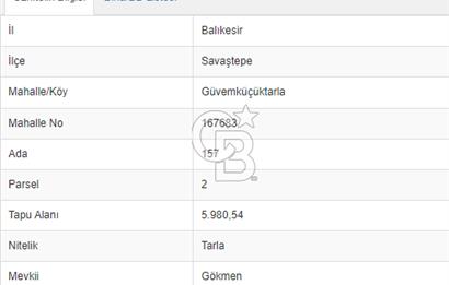 Balıkesir Savaştepe Yola Cepheli Tek Tapu 5.980 m² Satılık Tarla