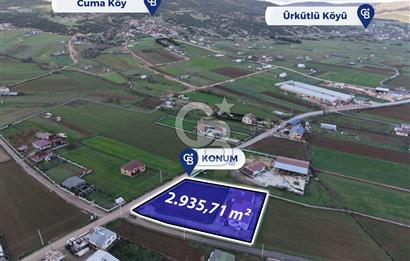 CB ENVOY'dan, Körfez Cuma Köyü'nde 2935 m2 Satılık Arsa
