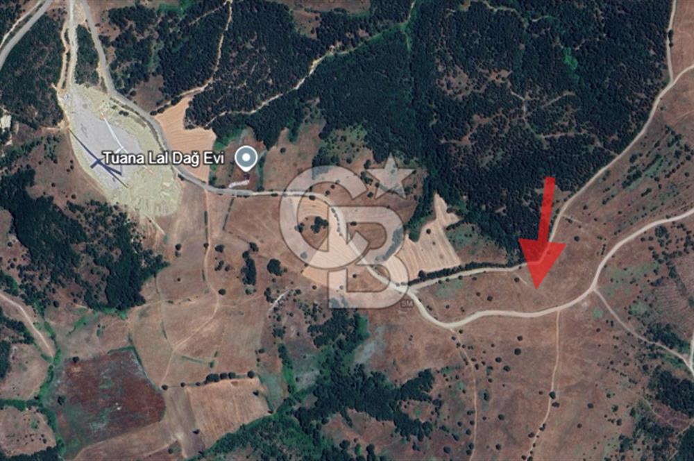 Balıkesir Savaştepe Yola Cepheli Tek Tapu 5.980 m² Satılık Tarla