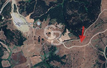 Balıkesir Savaştepe Yola Cepheli Tek Tapu 5.980 m² Satılık Tarla