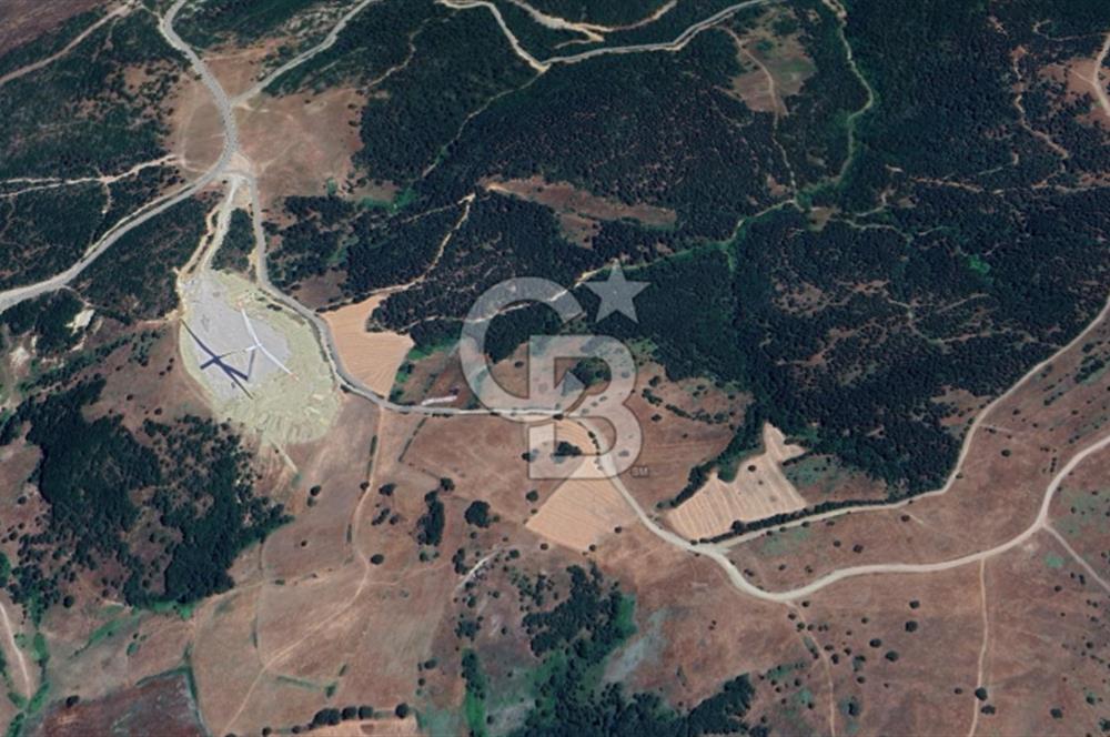 Balıkesir Savaştepe Yola Cepheli Tek Tapu 5.980 m² Satılık Tarla