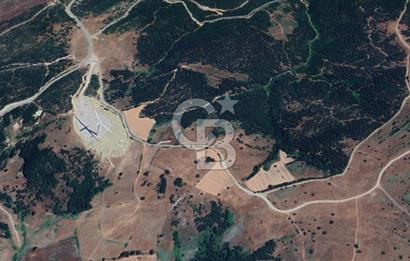 Balıkesir Savaştepe Yola Cepheli Tek Tapu 5.980 m² Satılık Tarla