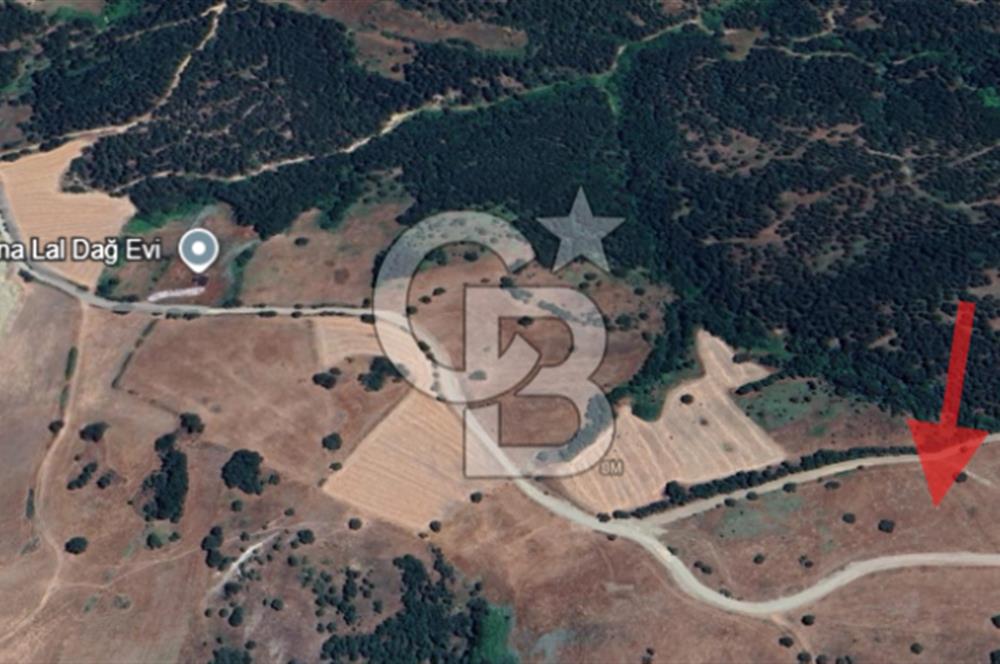 Balıkesir Savaştepe Yola Cepheli Tek Tapu 5.980 m² Satılık Tarla