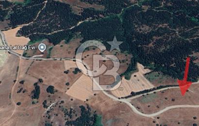 Balıkesir Savaştepe Yola Cepheli Tek Tapu 5.980 m² Satılık Tarla