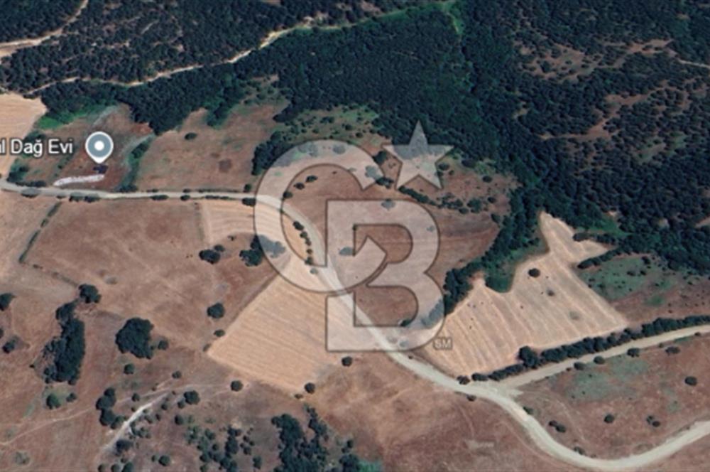 Balıkesir Savaştepe Yola Cepheli Tek Tapu 5.980 m² Satılık Tarla