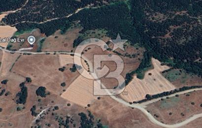 Balıkesir Savaştepe Yola Cepheli Tek Tapu 5.980 m² Satılık Tarla