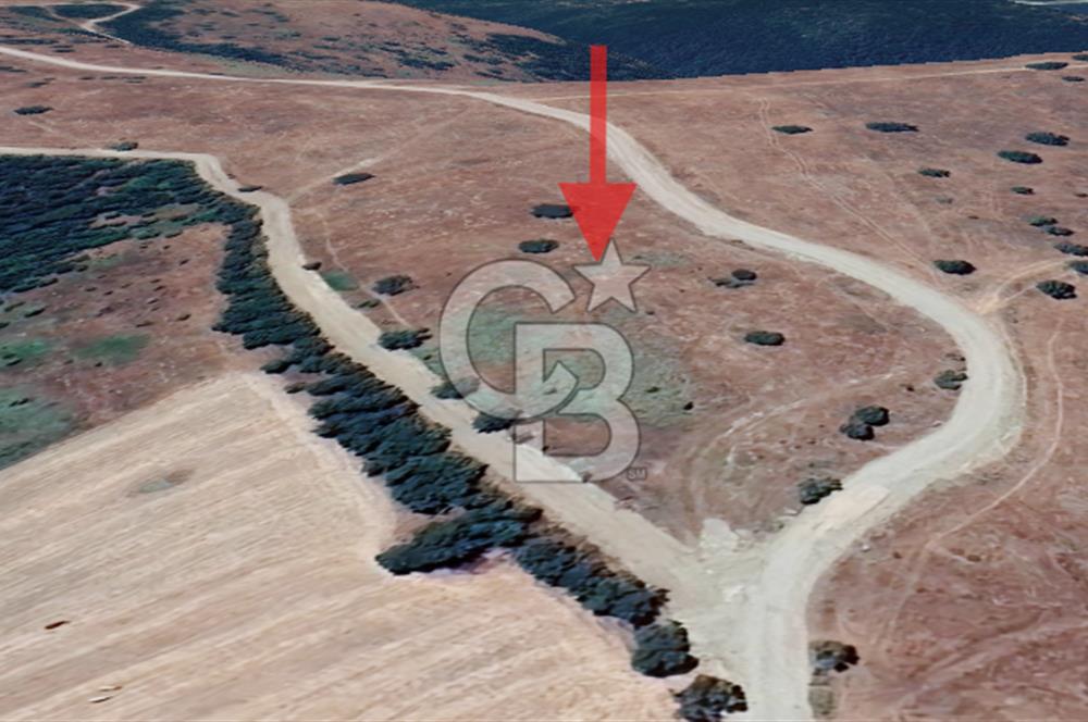 Balıkesir Savaştepe Yola Cepheli Tek Tapu 5.980 m² Satılık Tarla