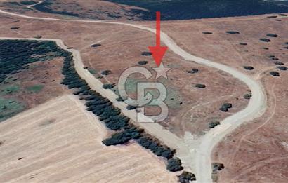Balıkesir Savaştepe Yola Cepheli Tek Tapu 5.980 m² Satılık Tarla