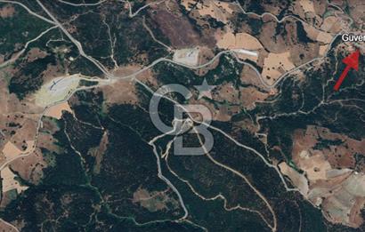 Balıkesir Savaştepe Yola Cepheli Tek Tapu 5.980 m² Satılık Tarla