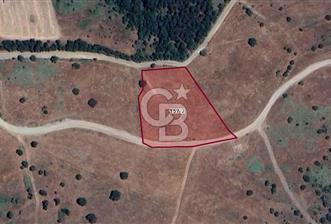 Balıkesir Savaştepe Yola Cepheli Tek Tapu 5.980 m² Satılık Tarla - 5 - 324636