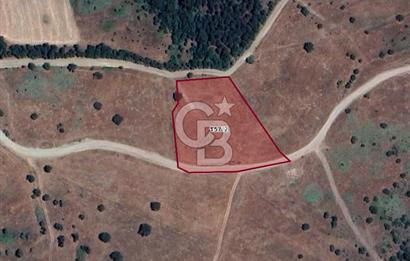 Balıkesir Savaştepe Yola Cepheli Tek Tapu 5.980 m² Satılık Tarla