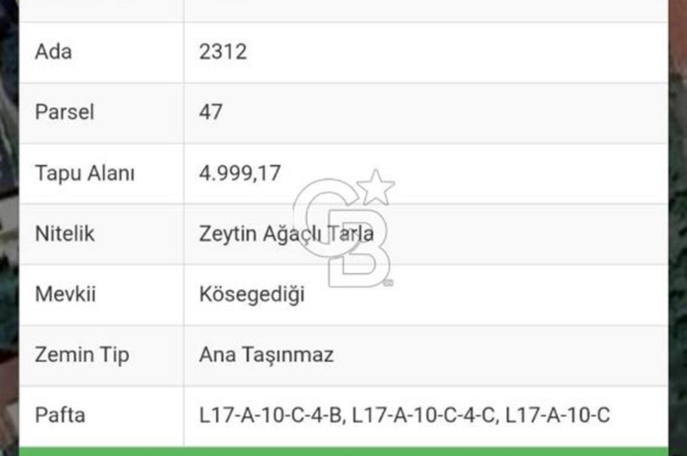 Çeşmealtı Güvendik Mah de 4999m2 Satılık Tarla
