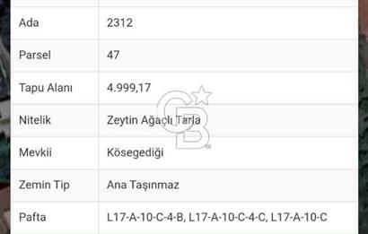 Çeşmealtı Güvendik Mah de 4999m2 Satılık Tarla