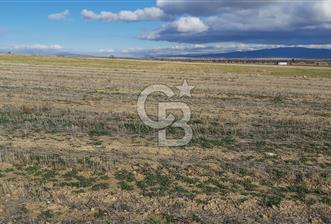 Afyon-Dazkırı Engerek Mevkinde Yola Yakın 5.223 m² Satılık Tarla - 1 - 321572