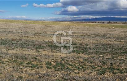 Afyon-Dazkırı Engerek Mevkinde Yola Yakın 5.223 m² Satılık Tarla