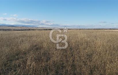 Afyon-Dazkırı Kepezaltı Mevkiinde 6.749 m² Fırsat Satılık Tarla