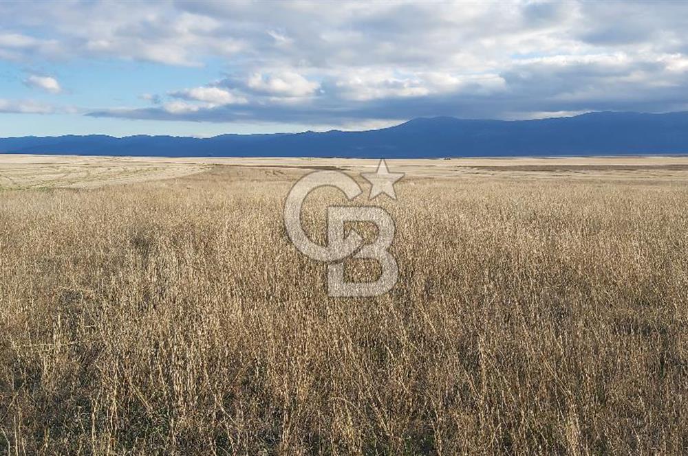 Afyon-Dazkırı Kepezaltı Mevkiinde 6.749 m² Fırsat Satılık Tarla