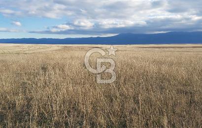 Afyon-Dazkırı Kepezaltı Mevkiinde 6.749 m² Fırsat Satılık Tarla