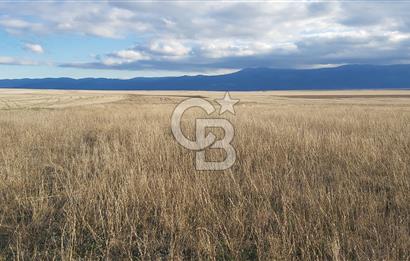 Afyon-Dazkırı Kepezaltı Mevkiinde 6.749 m² Fırsat Satılık Tarla