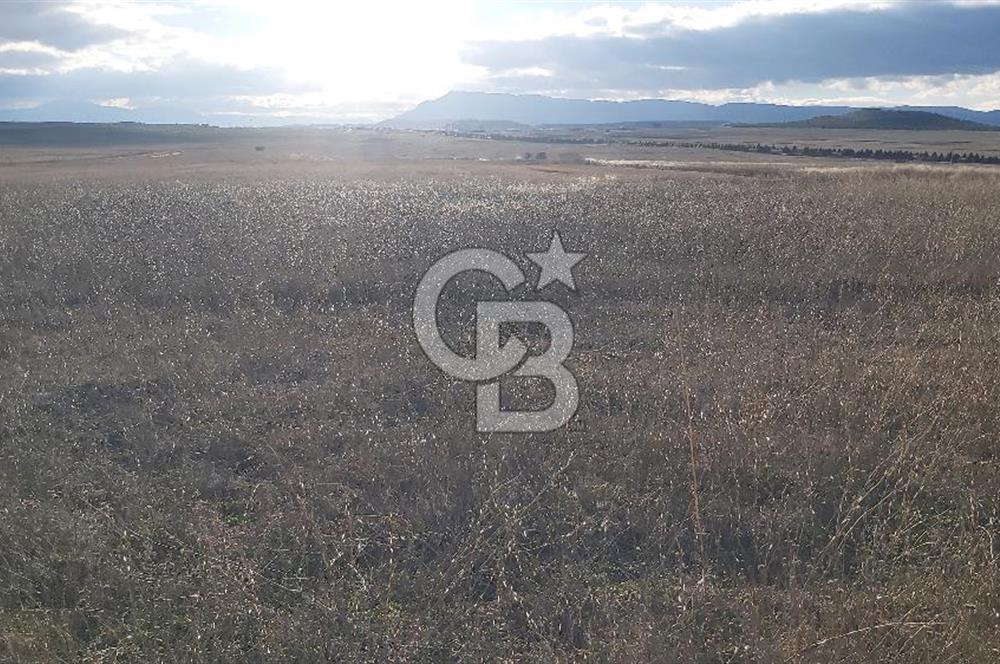 Afyon-Dazkırı Kepezaltı Mevkiinde 6.749 m² Fırsat Satılık Tarla