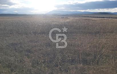 Afyon-Dazkırı Kepezaltı Mevkiinde 6.749 m² Fırsat Satılık Tarla