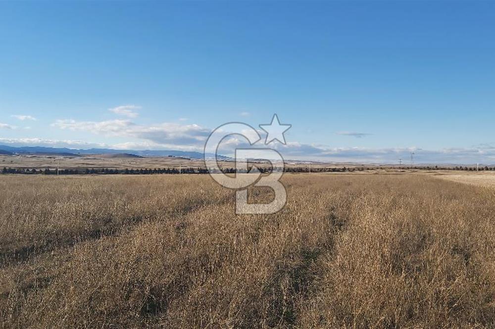 Afyon-Dazkırı Kepezaltı Mevkiinde 6.749 m² Fırsat Satılık Tarla