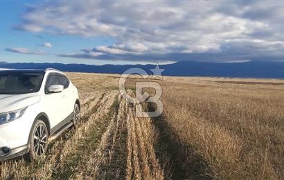 Afyon-Dazkırı Kepezaltı Mevkiinde 6.749 m² Fırsat Satılık Tarla