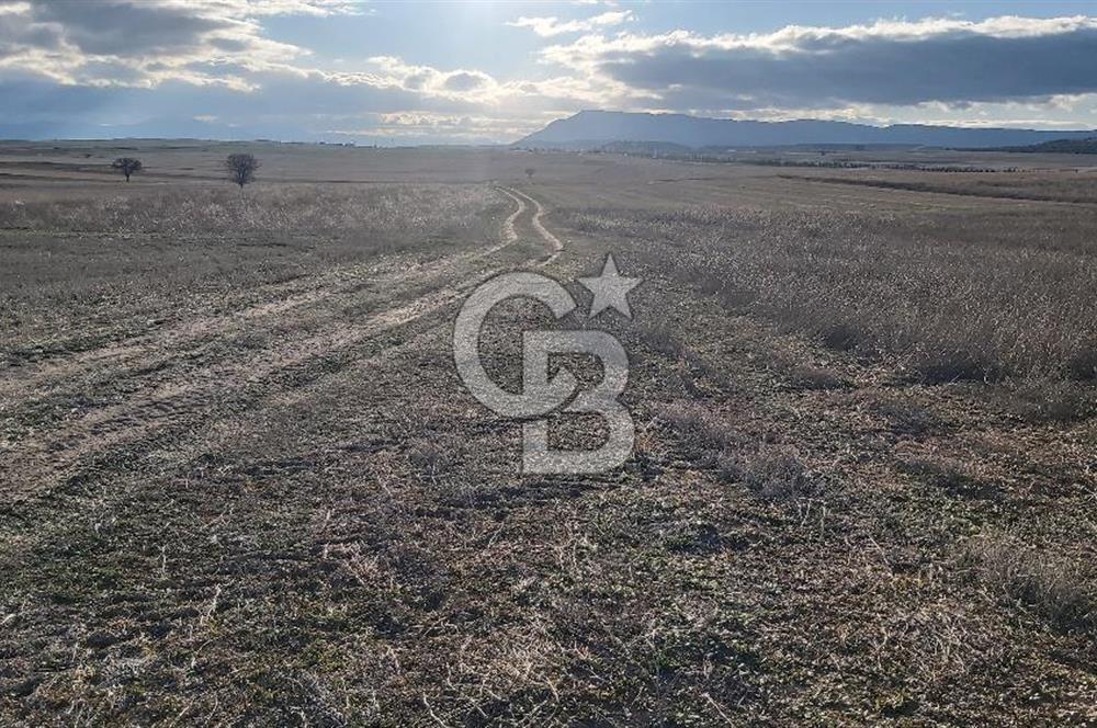 Afyon-Dazkırı Kepezaltı Mevkiinde 6.749 m² Fırsat Satılık Tarla