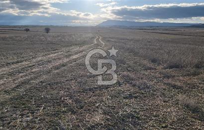 Afyon-Dazkırı Kepezaltı Mevkiinde 6.749 m² Fırsat Satılık Tarla