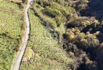 ZAFERİ MİLLİ MAHALLESİ-FINDIK BAHÇESİ  - 1 - 325064