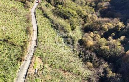 ZAFERİ MİLLİ MAHALLESİ-FINDIK BAHÇESİ 