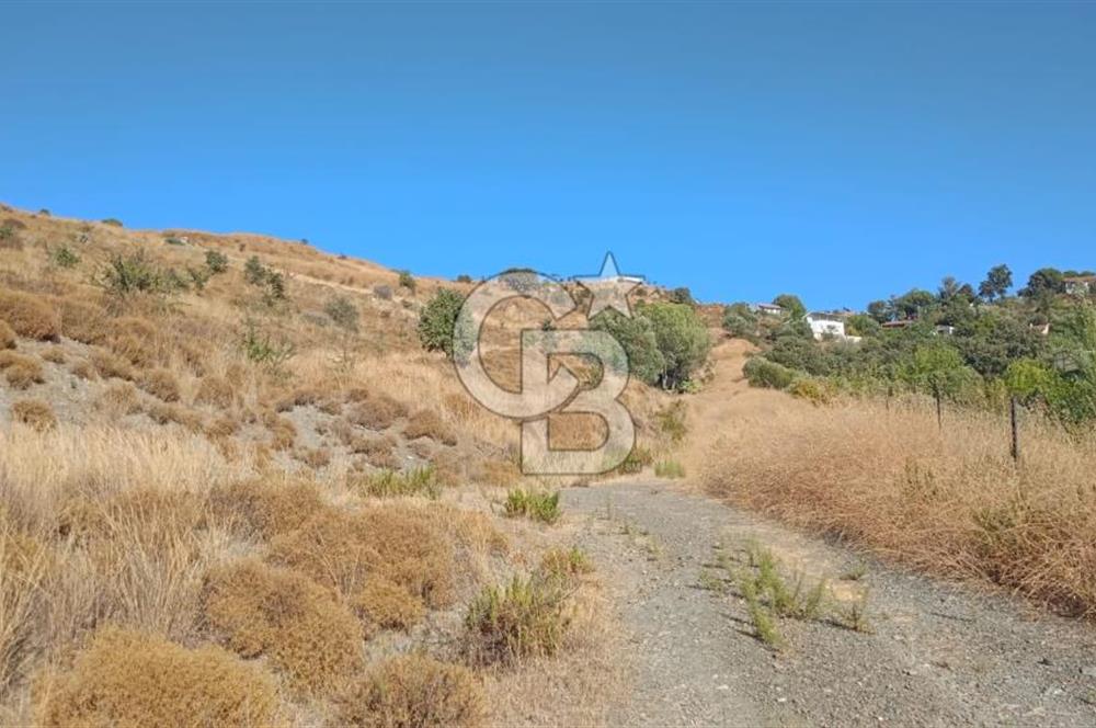 Manisa Yunusemre Satılık Tarla