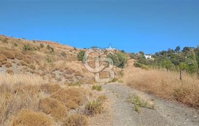 Manisa Yunusemre Satılık Tarla