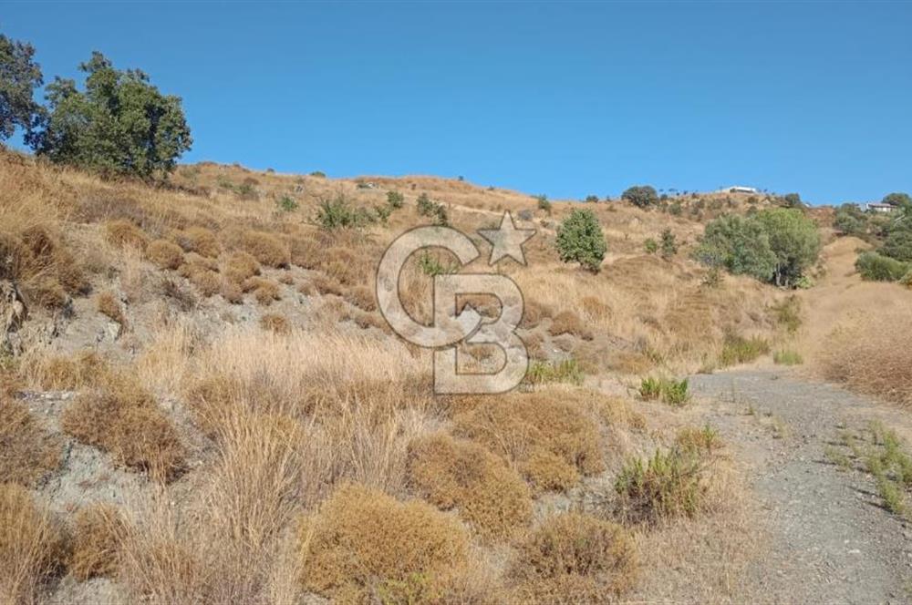 Manisa Yunusemre Satılık Tarla