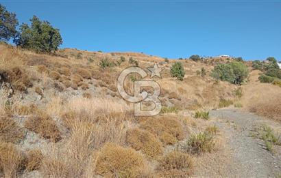 Manisa Yunusemre Satılık Tarla