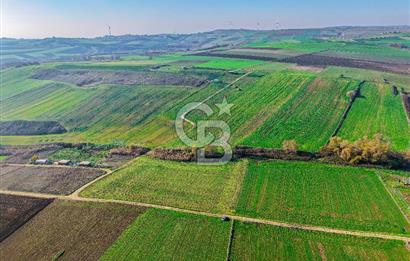 Çatalca Çakıl 9.352 m² Satılık Yatırım Arazisi